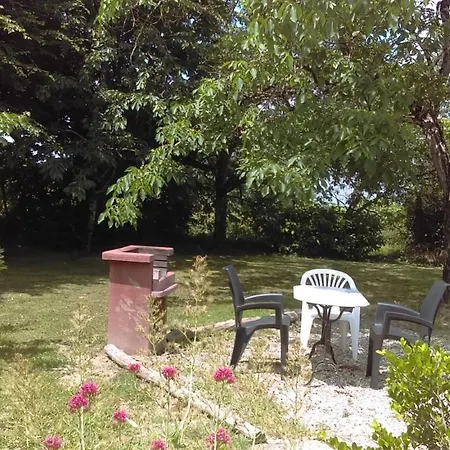 Les Véroniques Saint-Pierre-de-Buzet